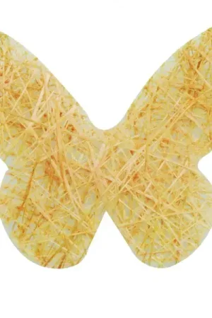 Retour Gratuit 48 papillons sisal orange