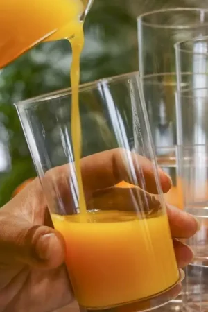 Promotion Verre a degustation plastique transparent réutilisables x 50 pièces