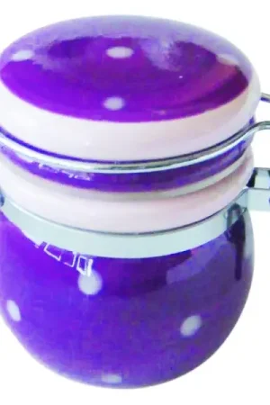 Mini pot à pois Violet Promotion