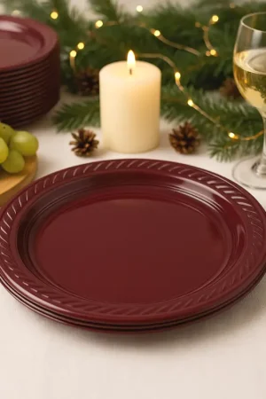 Assiette plastique ronde Bordeaux 22cm x 20 pièces Offre Exclusive