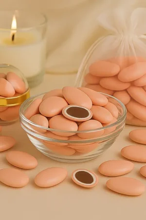 Paiement Sécurisé Dragées Saumon au Chocolat 500 gr