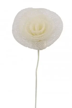 6 roses torsadées Ecru Offre Spéciale