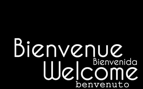 Vente Flash Tapis bienvenue bienvenida 50x80cm