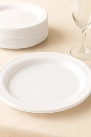Assiette plastique Blanche Réutilisable 20.5 cm x 100 pièces Nouveauté