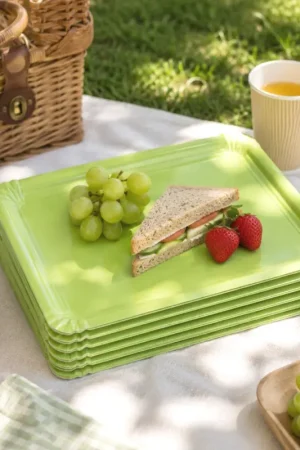 Plateau en carton Vert anis 24 x 33 cm x 5 pièces Offre Spéciale