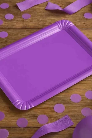 5 Plateaux pourpre en carton 24x33cm Quantité Limitée
