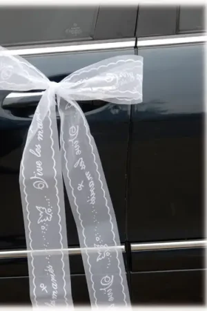 Prix Choc Bandeau Vive les mariée pour Voiture de Mariage
