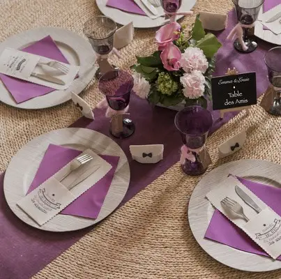 Chemin de table en tissu intissé Violet 30cm x 10m Bon Plan