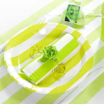 Assiette jetable Vert anis à rayures 23cm x10 Certifié