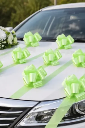 Bon Marché Noeud automatique Vert anis x10