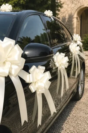 Prix Cassé Noeud automatique Ecru x10