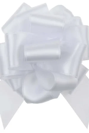 Offre Limitée Noeud blanc satin X5
