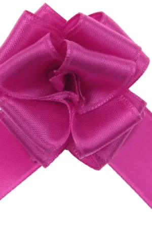 Prix Choc Noeud Fuchsia en satin X5