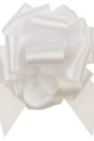 Offre Du Jour Noeud Ecru en satin X5