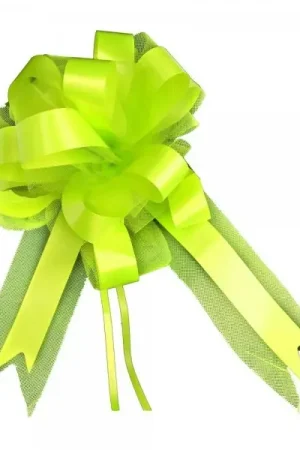 Nouveauté Noeud en tulle Vert anis 50cm x2