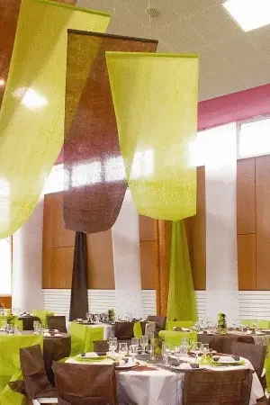 Tenture mariage Vert anis 12 mètres Remise