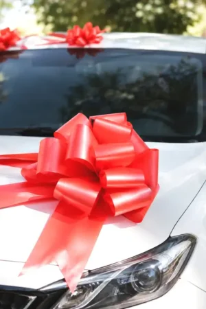 Noeud automatique Rouge x10 Paiement Sécurisé
