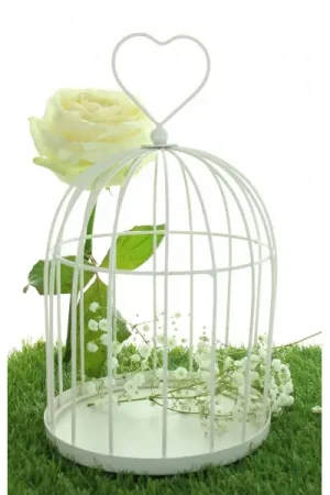 Expédition Rapide Urne cage oiseau Coeur