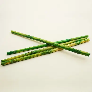 Produit De Marque Bambou Vert Anis x 12 pièces