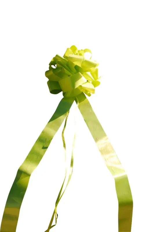 Prix Bas Noeud à tirer Géant Vert Anis