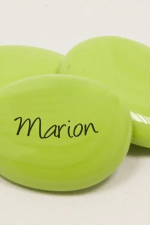 Super Prix Galet Marque place Vert anis x 12 pièces