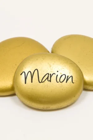 Offre Du Jour Galet Marque place Or x 10 pièces