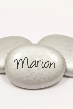 Acheter En Ligne Galet Marque place Argent x 10 pièces