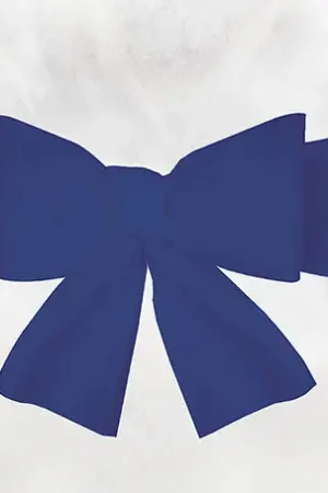 Prix Réduit Noeud pour housse de chaise Bleu Roi x 6 pièces