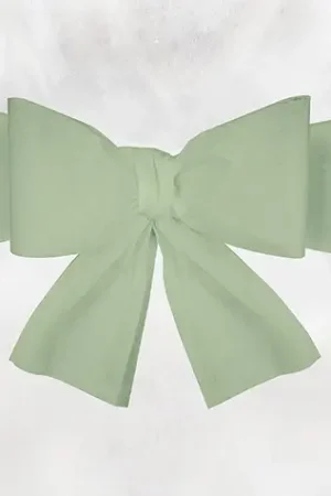 Noeud housse de chaise mariage pas cher Vert Clair x 6 pièces Meilleur Prix