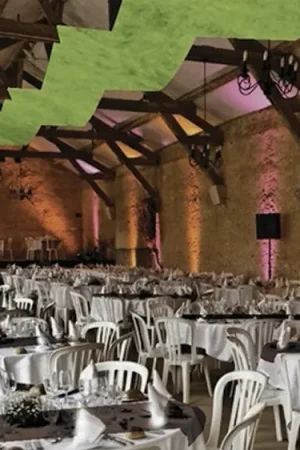 Commande En Gros Tenture de salle 25 mètres Vert Anis