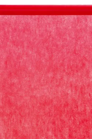 Nappe en Tissu intissé Rouge en rouleau 10mx120cm Affaire À Saisir