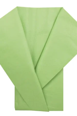 Feuille de papier de soie Vert anis x 5 pièces Meilleur Choix