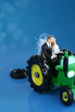 Figurine Mariés sur Tracteur 11 cm Prix Réduit