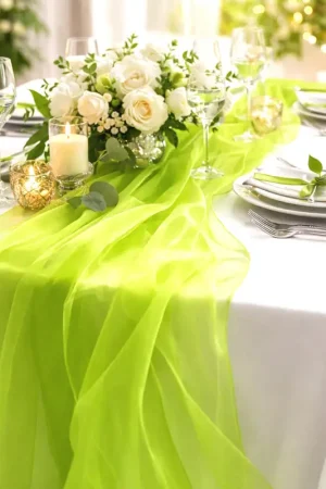Affaire À Saisir Chemin de table organza Vert anis uni