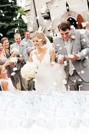 Petale de rose mariage Blanc x 500 pièces Top Vente