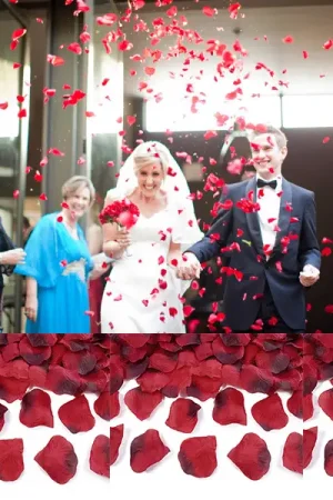 Petale de rose mariage Rouge x 500 pièces Commander Vite