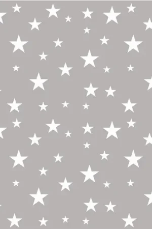 Vente Flash Serviette en papier Etoile Argentée 3 plis 33 x 33 cm x 20 pièces