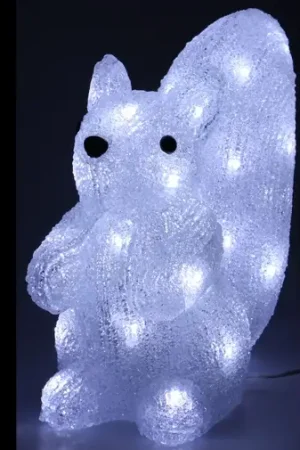Achat Immédiat Ecureuil lumineux acrylique 40 LED