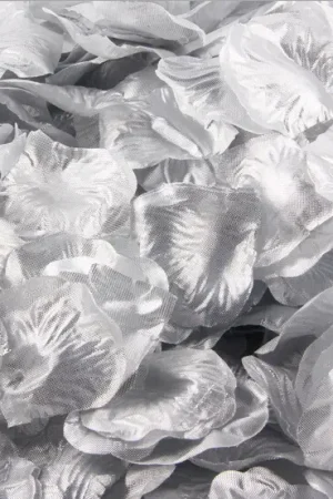 Seulement Aujourd'hui Petale de rose mariage Argent x 500 pièces