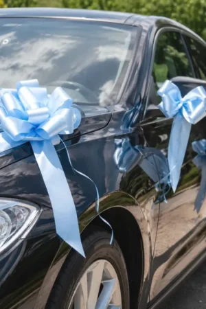 Super Prix Noeud automatique Bleu ciel x 10 pièces