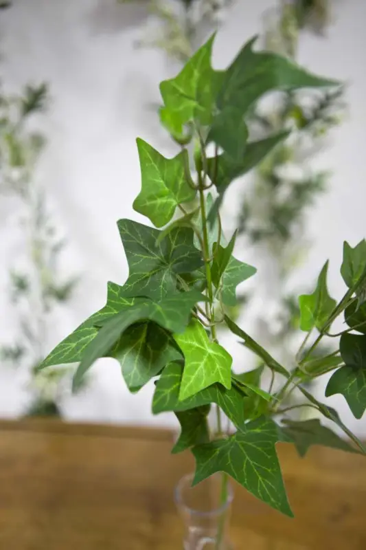 Bon Plan Tige de Lierre Vert Decoratif