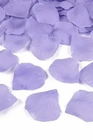 Satisfait Ou Remboursé Petale de rose mariage Parme x 500 pièces