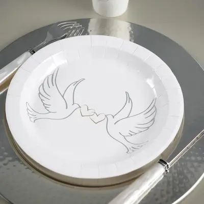 Assiette en carton Colombe 23cm x 10 pièces Expédié Aujourd'hui