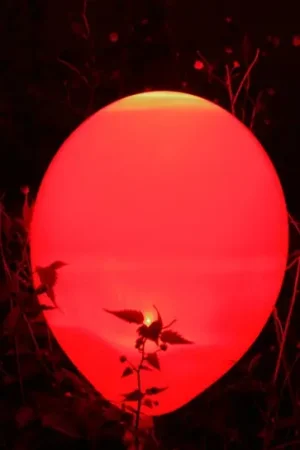 Commande En Gros Ballon Lumineux Led 30 cm Rouge x3 pièces