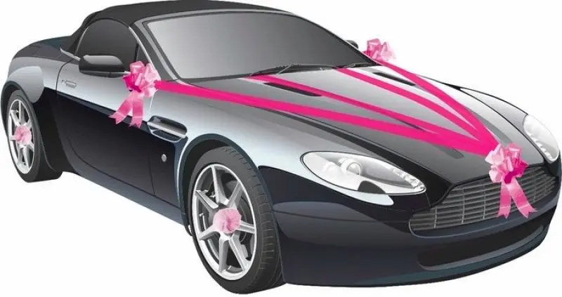 Kit déco voiture mariage Fuchsia Quantité Limitée