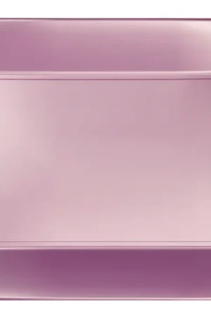 Plateau plastique rectangulaire Rose 34x23cm x 3 pièces Top Vente