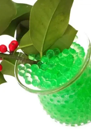 Perle Gel d'Eau Floral Vert anis 2,50L Offre Limitée