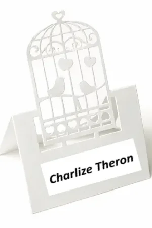 Marque place cage a oiseau Blanc x 20 pièces Prix Choc