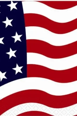 Usine Directe Serviette en papier USA x 20 pièces