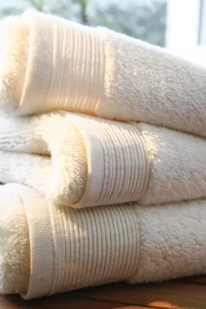 Acheter Direct Maxi drap de bain Ivoire TODAY 90x150cm